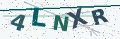 Security code image