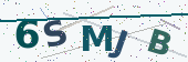 Security code image