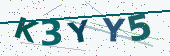 Security code image