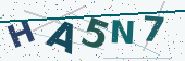 Security code image