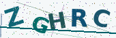 Security code image