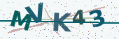 Security code image