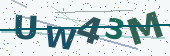 Security code image