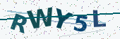 Security code image