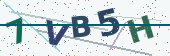 Security code image