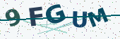 Security code image