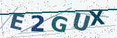 Security code image