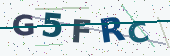 Security code image