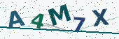 Security code image