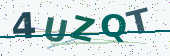 Security code image