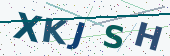 Security code image