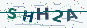 Security code image