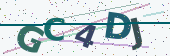 Security code image