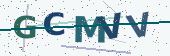 Security code image