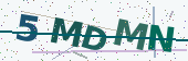 Security code image