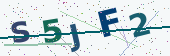 Security code image