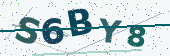 Security code image