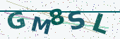 Security code image