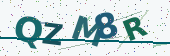 Security code image