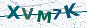 Security code image