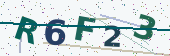Security code image