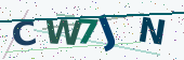 Security code image