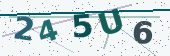 Security code image