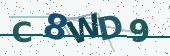 Security code image
