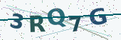 Security code image