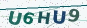 Security code image